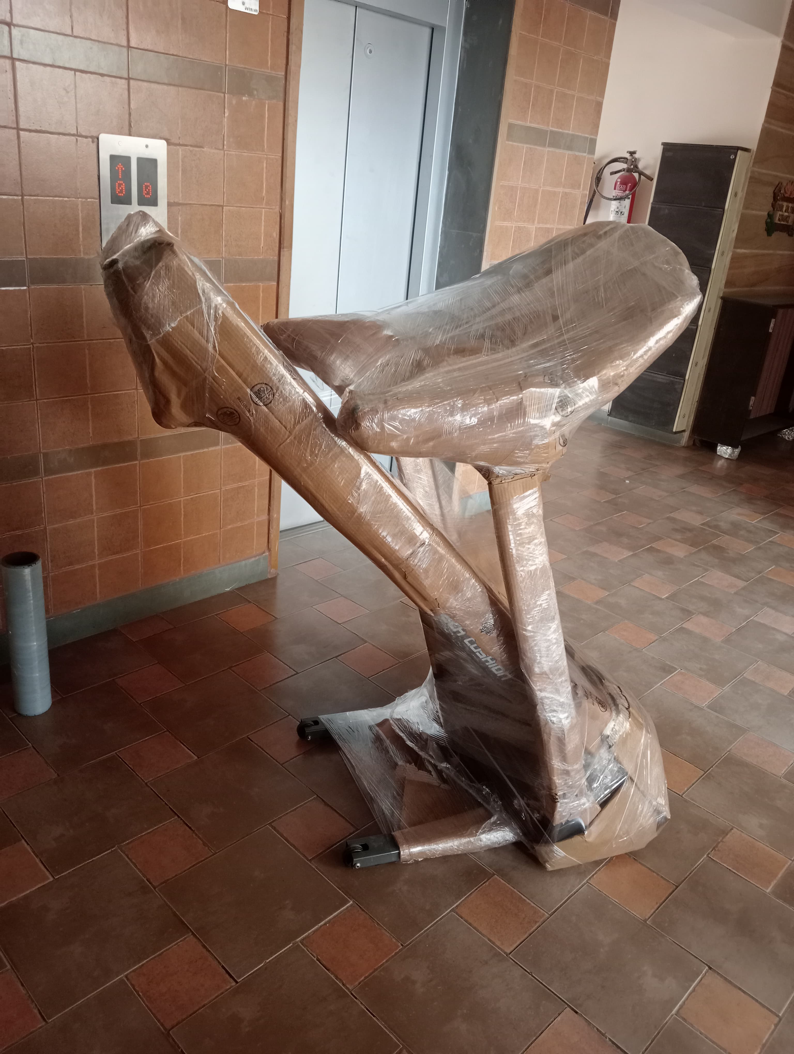 Family arranging furniture in their new living room