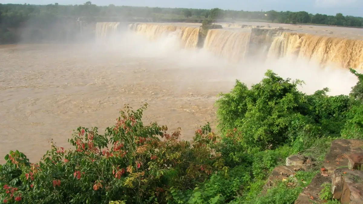Packers and Movers in Chhattisgarh